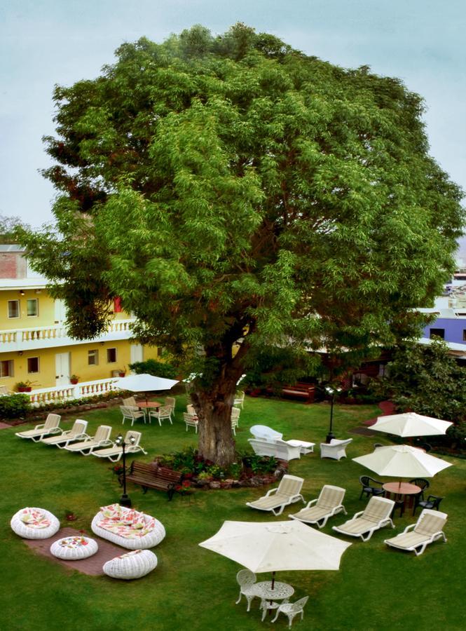 Casa De Avila อาเรกิปา ภายนอก รูปภาพ